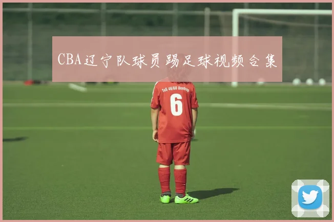 CBA辽宁队球员踢足球视频合集