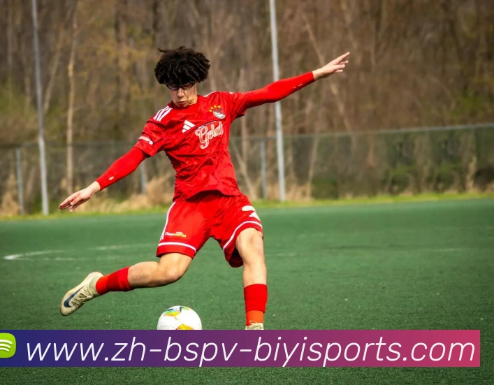 B体育平台生态图