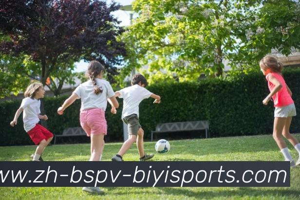 B体育APP 封面图